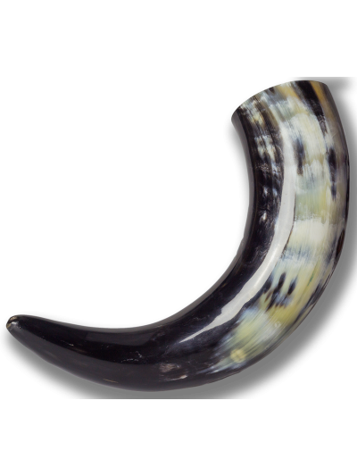 Trollfelsen Trinkhorn Natur